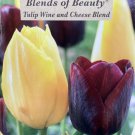 Wine And Cheese Tulip Mix 18 Bulbs Merlot/Deep Yellow 12/+ Cm Bulbs New Indoor Outdoor Garden Wine And Cheese Tulip Mix 18 Bulbs Merlot/Deep Yellow 12/+ Cm Bulbs New Indoor Outdoor Garden