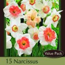 Pink Narcissus Mix 15 Bulbs New 14/16 Cm Bulbs Indoor Outdoor Garden