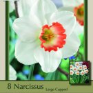 Pink Charm Daffodil 8 Bulbs Gorgeous 14/16 Cm Bulbs Indoor Outdoor Garden