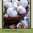California Baja White Softneck Garlic Bulbs 6 Jumbo Bulbs Indoor Outdoor Garden