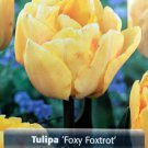Foxy Foxtrot Double Early Tulip 8 Bulbs 12/+ Cm Bulbs Indoor Outdoor Garden
