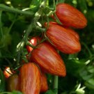 Tomato 50 Sweet Casady Paste Tomato Seeds Fresh Garden