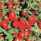 25 Tomato Early Resilience Determinate Cherry Tomato Seeds Fresh Garden