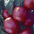 Tomato Biltmore Tomato Slicing Tomato Seeds Fresh Garden