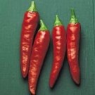 25 Super Chili Pepper Hot Pepper Seeds Fresh Garden