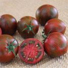 Tomato Purple Zebra 25 Tomato Cherry Tomato Seeds Fresh Garden