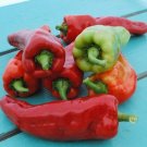 Giant Aconcagua pepper 50 sweet pepper Seeds Fresh Garden