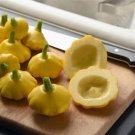 Squash 25 Squash Lemon Sun Summer Squash Seeds Fresh Garden Squash 25 Squash Lemon Sun Summer Squash Seeds Fresh Garden