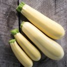 Squash Squash Chiffon 25 Vegetable Seeds Fresh Garden
