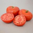 Tomato 25 Carmello Slicing Tomato Seeds Fresh Garden
