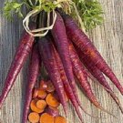 Carrot 100 thru 2500 Cosmic Purple Carrot Seeds Fresh Garden