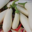 0 Casper Egg 25 thru 500 White Egg Egg Seeds Fresh Garden