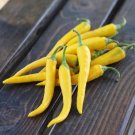 Pepper 25-500 Pepper Cayenne Golden Bulk Pepper Seeds Fresh Garden