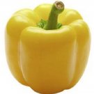 50 Chardonnay Pepper Chardonnay Sweet Pepper Yellow Bell Pepper Seeds Fresh Garden 50 Chardonnay Pepper Chardonnay Sweet Pepper Yellow Bell Pepper Seeds Fresh Garden