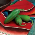 25 Compandre Pepper Jalapeno Pepper Seeds Fresh Garden