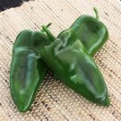 Pepper 25 Alteno Pepper Poblano Pepper Hot Pepper Seeds Fresh Garden