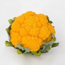 Cauliflower 25 Cauliflower Clementine Chedder Cauliflower Seeds Fresh Garden