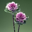 25 Flowering Kale Flowering Kale Rose Flare Ornamental Kale Seeds Fresh Garden