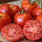 25 Tomato Tomato Better Boy Plus Slicing Tomato Seeds Fresh Garden