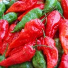 Hot Pepper 25 Bhut Jolokia Red Seeds Fresh Garden