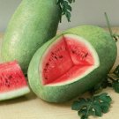 Watermelon 50 Sweet Princess Watermelon Seeds Fresh Garden