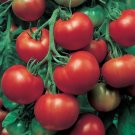 50 Tomato Tomato Super Sioux Slicing Tomato Seeds Fresh Garden