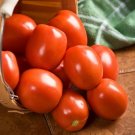 25 Tomato Tomato Yaqui Plum Tomato Seeds Fresh Garden