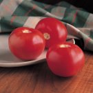 25 Tomato Tomato Bobcat Beefsteak Tomato Seeds Fresh Garden