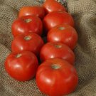 25 Tomato Tomato Mountain Spring Beefsteak Tomato Seeds Fresh Garden