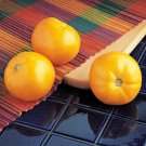 25 Tomato Tomato Carolina Gold Beefsteak Tomato Seeds Fresh Garden
