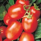 Tomato 25 Tomato Health Kick Roma Tomato Seeds Fresh Garden