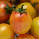 Tomato 25 Bumble Bee Sunrise Tomato Cherry Tomato Seeds Fresh Garden Tomato 25 Bumble Bee Sunrise Tomato Cherry Tomato Seeds Fresh Garden