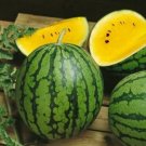 Watermelon Baby Doll Watermelon 25 Seeds Fresh Garden