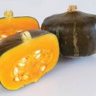 Squash Bonbon 25 Winter Squash Seeds Fresh Garden