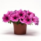 Pelleted Easy Wave Petunia Rose Fusion 25 petunia Seeds Fresh Garden