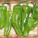 Pepperoncini Green Pepperoncini Chili Pepper 50 Seeds Fresh Garden