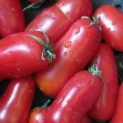 200 San Marzano Tomato Indeterminate Seeds Fresh Garden
