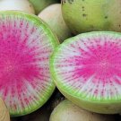 100 Watermelon Radish VERY UNIQUE RADISH Seeds Fresh Garden