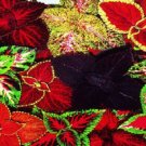 Coleus 50 Rainbow Grimes Mix Flower Seeds Fresh Garden