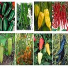 Pepper 12 Kinds Of Hot Pepper Mix Chili 500 Pepper Seeds Fresh Garden