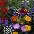 250 Flower Tall Cut Flower Mix Seeds Fresh Garden