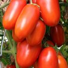 Tomato La Roma III Hybrid Tomato Pick 25 To 250 Seeds Fresh Garden