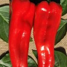 50 Pepper Red Marconi Hybrid Sweet Pepper Seeds Fresh Garden