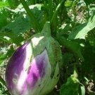 100 Rosa Bianca Egg Egg Seeds Fresh Garden