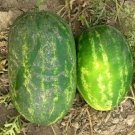 100 Watermelon CalSweet Melon Cal sweet Seeds Fresh Garden