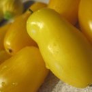 Tomato 50 Tomato Banana Legs Seeds Fresh Garden