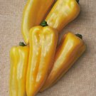50 Corno Di Toro Yellow Sweet Pepper Seeds Fresh Garden 50 Corno Di Toro Yellow Sweet Pepper Seeds Fresh Garden