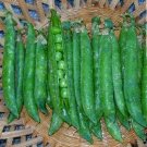 100 Pea Green Arrow Seeds Fresh Garden
