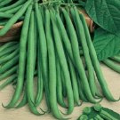 50 Bush Bean Slenderette Bean Seeds Fresh Garden