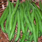 50 Bush Harvester Beans Vegetable Seeds Fresh Garden
